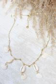 Clam shell necklace (Gold) image