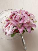 Pink Oriental Lily Bouquet image