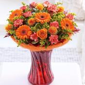 FALL IN LOVE image