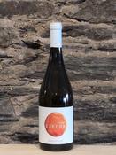 Bodegas Puiggros Exedra Vi d'Amphora Blanca