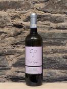 Gio Pinot Grigio