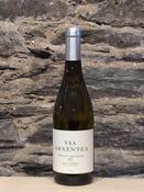 Vía Arxéntea Godello Y Treixadura Monterrei