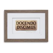 Docendo discimus – By teaching we learn image