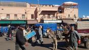 3-Day Discover Marrakech Tour