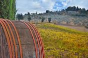 Tuscany: The Chianti Trail image