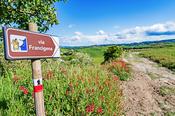 Via Francigena: Lucca to Siena image