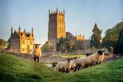 Walking in the Cotswolds image