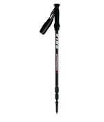 APPROACH WALKING POLE