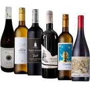 Case of the Month | 12 Bottle Case