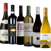 Our Wineries Case