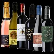 The Christmas Selection
