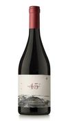 Otronia, 45 Rugientes, Pinot Noir Patagonia, Argentina 2021