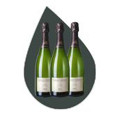 Cava 3 Bottle Case