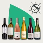 Al Fresco Wine Case - 6 bottle