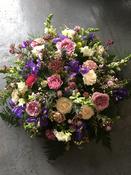 Wild Posy