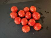 Gardeners Delight - Wolf Seeds