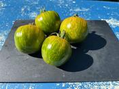 Green Zebra - Wolf Seeds