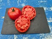 Discover Berner Rose Heirloom Seeds for Organic Gardens image