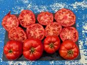 Marmande - Wolf Seeds image