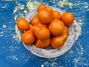 Yellow Truffle - Wolf Seeds