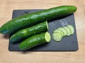 Shintokiwa - Wolf Seeds image
