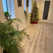 Sample of Oak Robust Grey 8mm