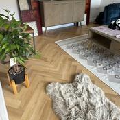 Konig Prestige Silver Oak Herringbone image