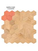 SAMPLE of Oak Wood Hexagon - Peel &amp; Stick Composite Wall Tiles (4 x Hex Tiles) - OWHT49 image