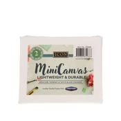 Icon Mini Canvas - Pack of 2