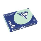A4 120g paper (green) | Clairefontaine | 250 sheets image