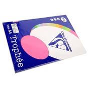 A4 80g paper (FP/FY/FG/FO) | Clairefontaine | 25 sheets x4 image