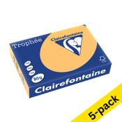 Clairefontaine golden A4 coloured paper, 80gsm (500 sheets) (5-pack) image