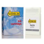 Epson T6029 standard capacity light light black ink cartridge (123ink version) image