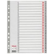 Plastic tabs 1-31 (31 grey tabs) | A4, 11-hole | Esselte