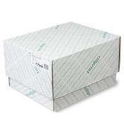Continuous paper 240mm x 12 inch (3-fold) 60g-53g-57g | Rillstab 17948 | 750 sheets image
