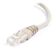 Network cable (5m) | Cat5e U/UTP | NoName grey image