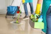 Once-off Cleans