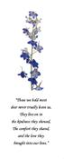 Forget Me Not