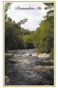 Forest River
