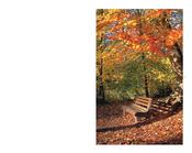 Park Bench