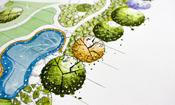 Landscape Plan