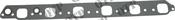 Air Intake Manifold Gasket (qtp-42250) image