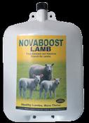 Nova Boost Lamb image