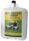Nova Boost Sheep image