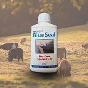 Blue seal