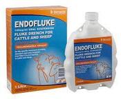 Endofluke