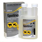 Spotinor
