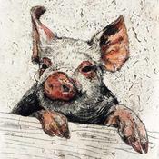 Piggy