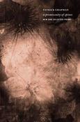 A Promiscuity Of Spines image