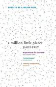 A Million Little Pieces image